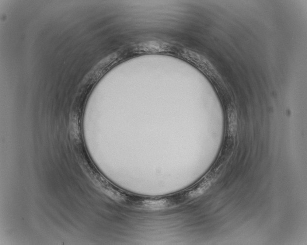 X0000079310457200612151756