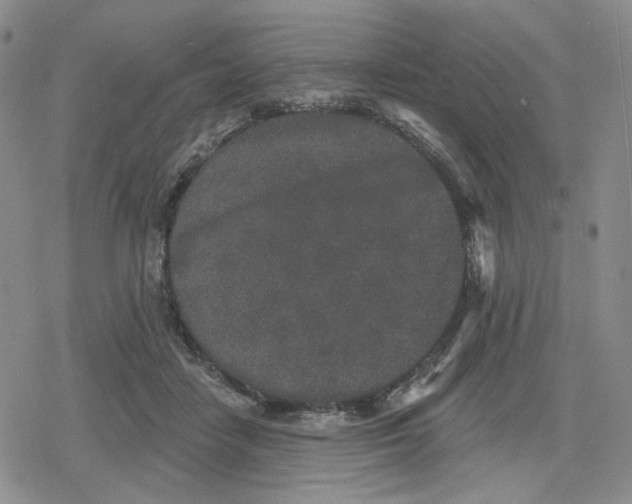 X0000079310458200612151756