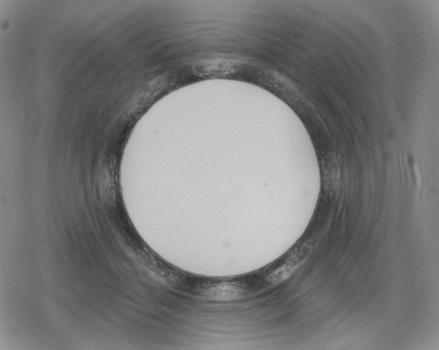 X0000079310460200612151756