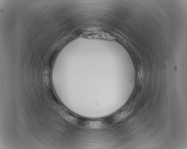 X0000079310462200612151756