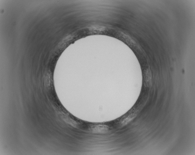 X0000079310463200612151756