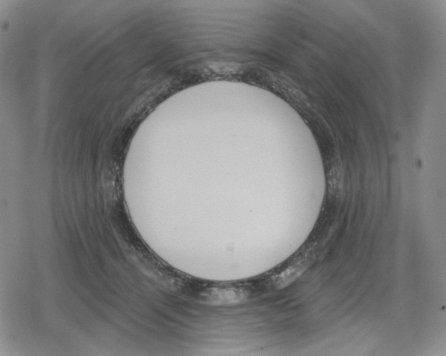 X0000079310464200612151756