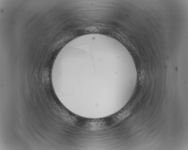 X0000079310466200612151756