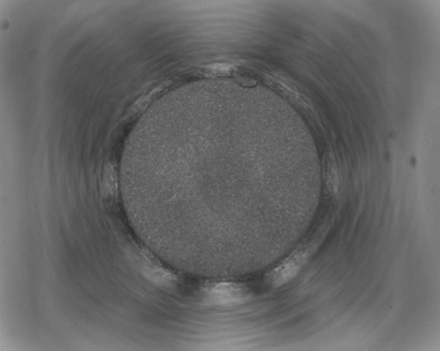 X0000079310467200612151756