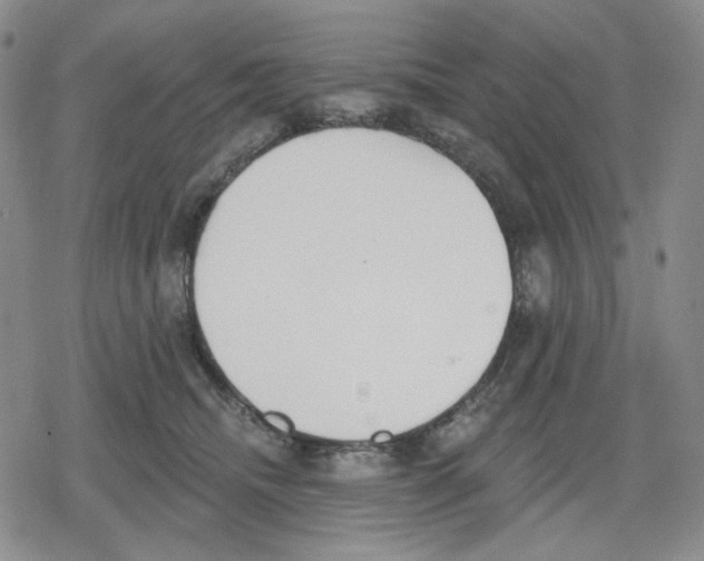 X0000079310468200612151756