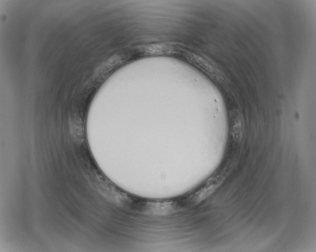 X0000079310469200612151756