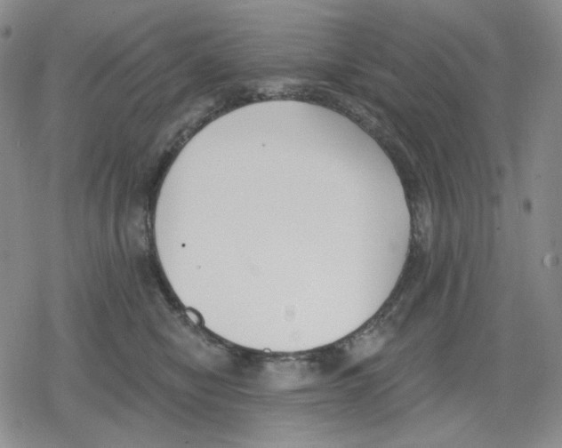 X0000079310470200612151756