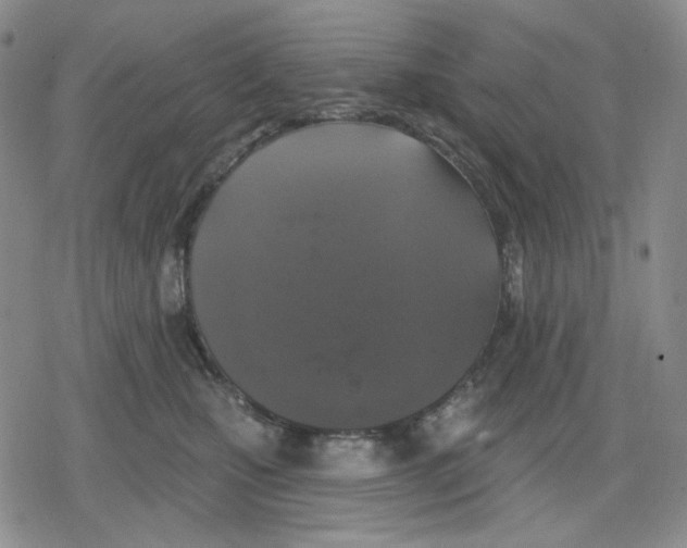 X0000079310471200612151756