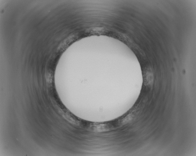 X0000079310472200612151756