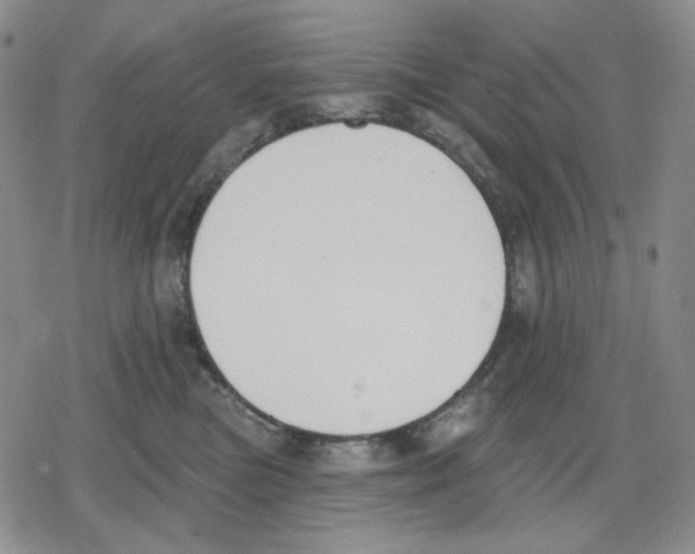 X0000079310473200612151757