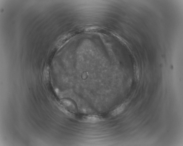 X0000079310475200612151757