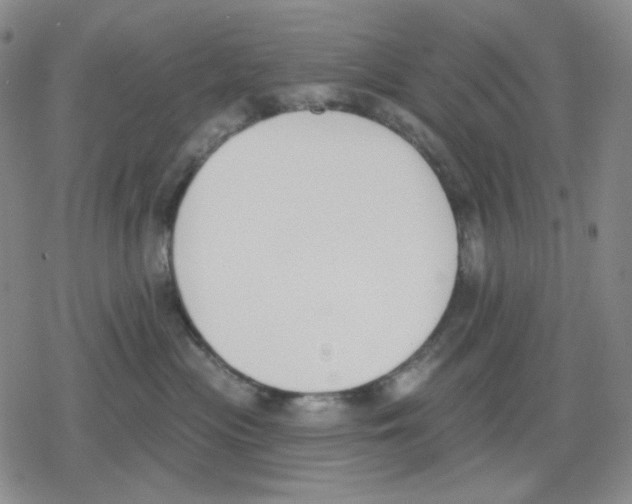 X0000079310477200612151757