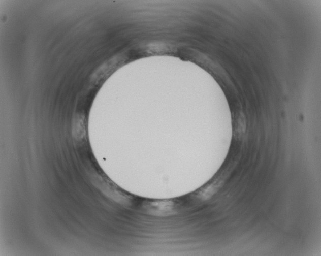 X0000079310478200612151757