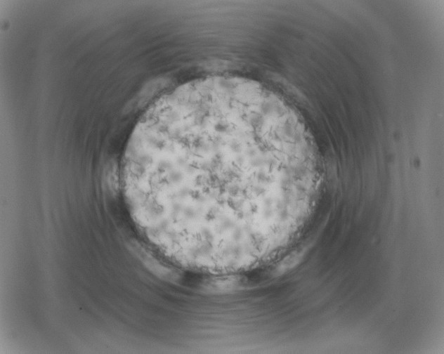 X0000079310479200612151757