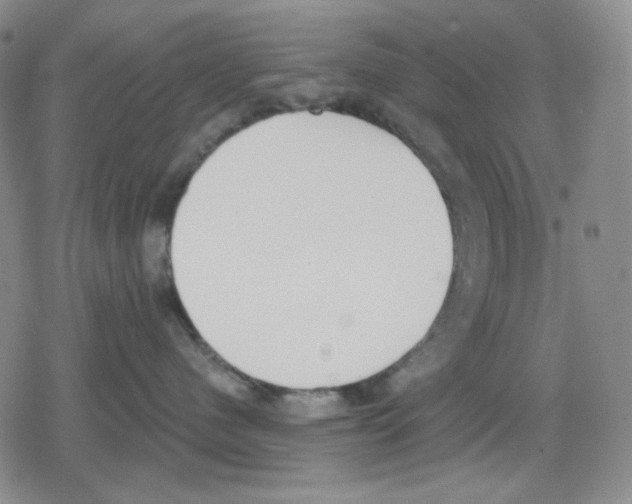 X0000079310480200612151757