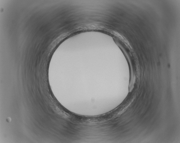 X0000079310481200612151756