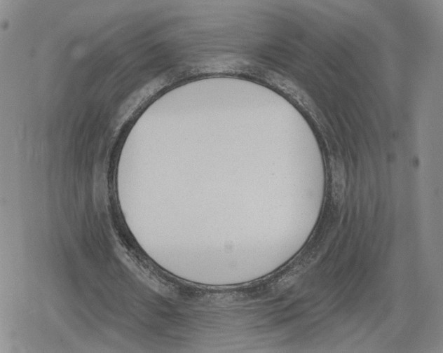 X0000079310482200612151756