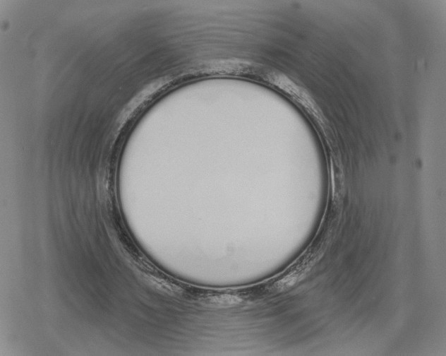 X0000079310483200612151756