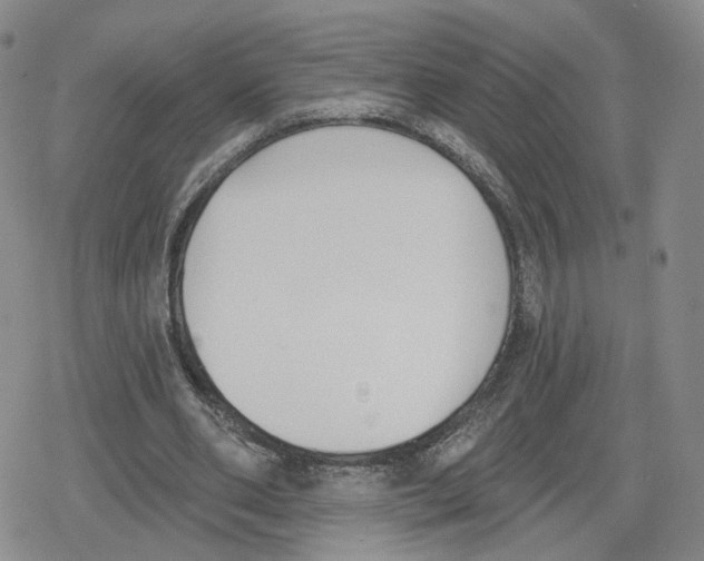 X0000079310486200612151756