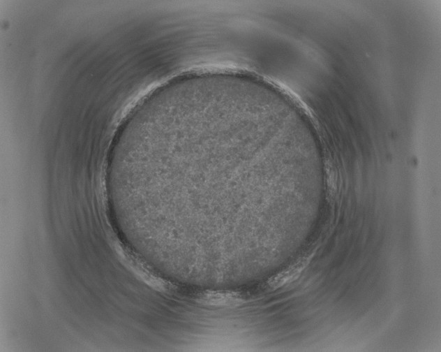 X0000079310487200612151756