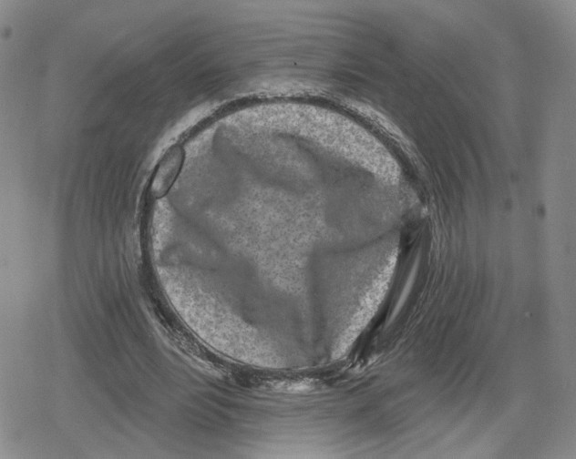 X0000079310488200612151756