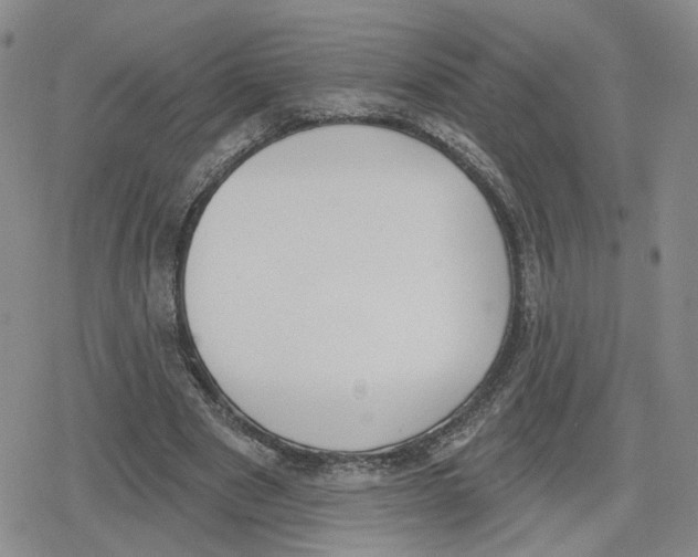 X0000079310489200612151756