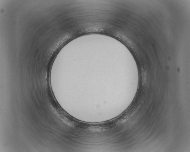 X0000079310490200612151756