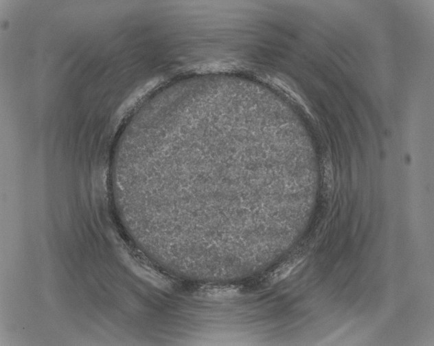 X0000079310491200612151756