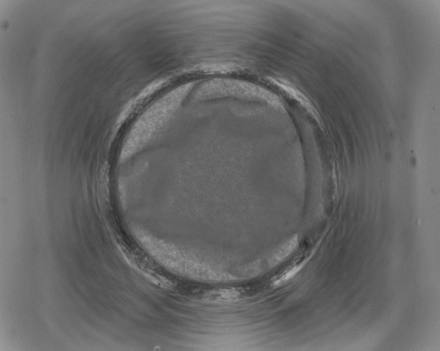 X0000079310492200612151756