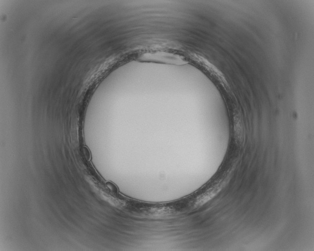 X0000079310493200612151756