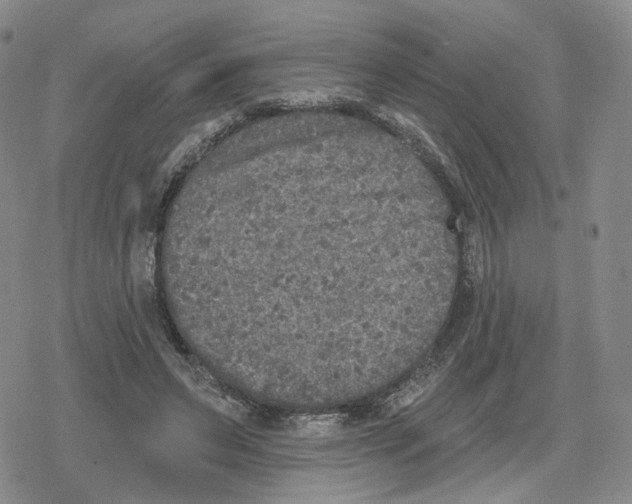 X0000079310495200612151756