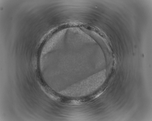 X0000079310496200612151756