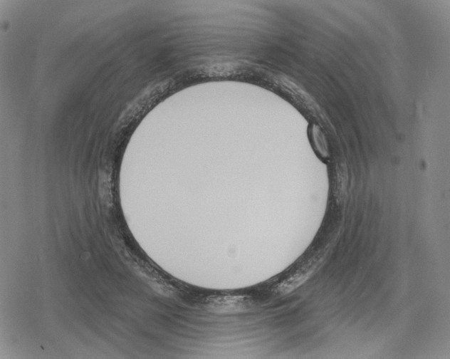 X0000079310497200612151756