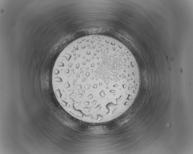 X0000079310499200612151756