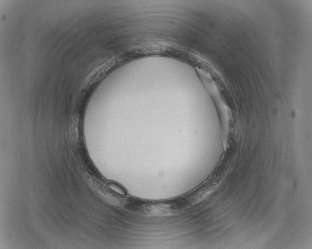 X0000079310501200612151756