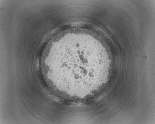 X0000079310502200612151756