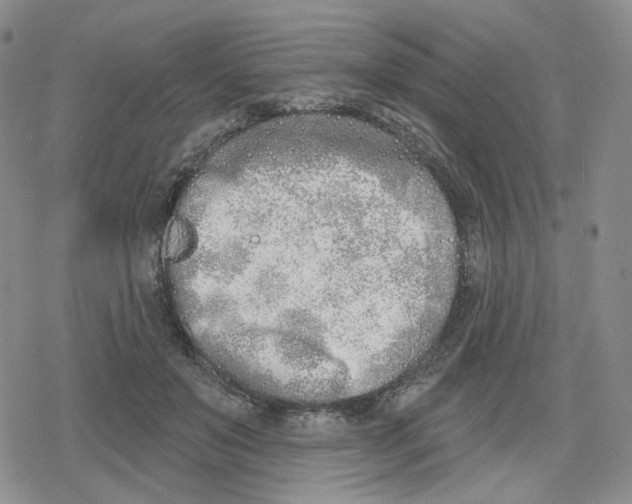 X0000079310503200612151755