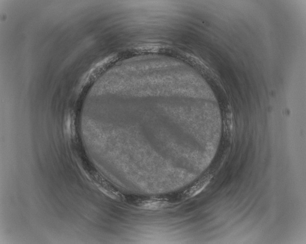 X0000079310504200612151755