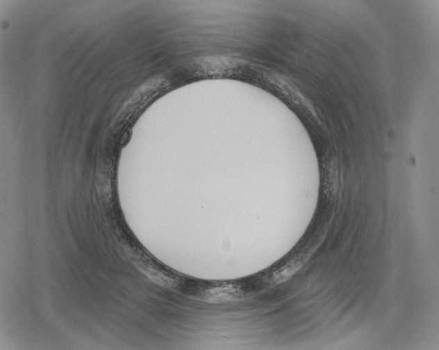 X0000079310505200612151755