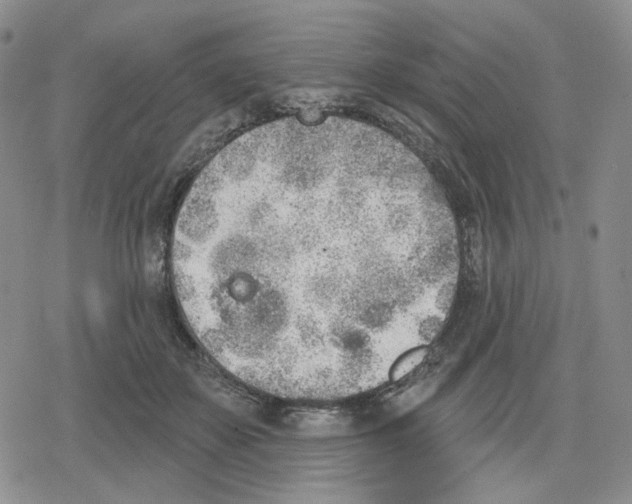 X0000079310507200612151755