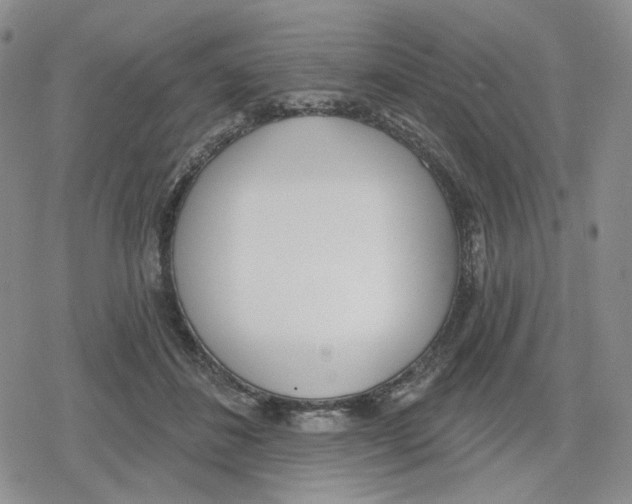 X0000079310508200612151755