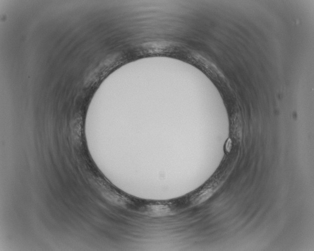 X0000079310509200612151755