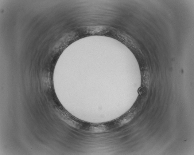 X0000079310510200612151755