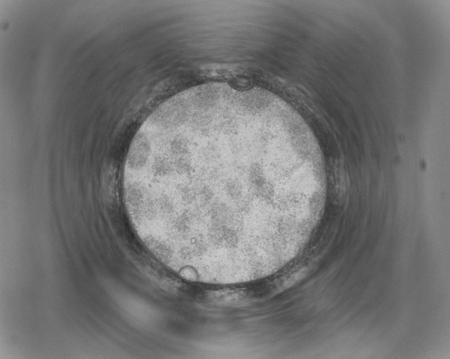 X0000079310511200612151755