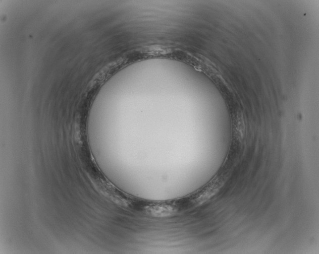 X0000079310512200612151755