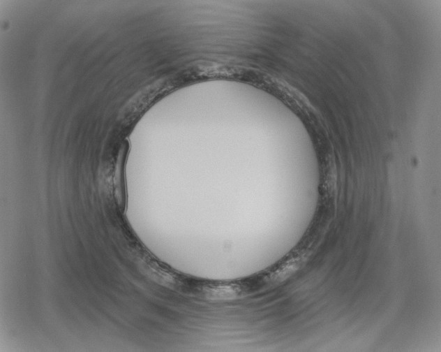 X0000079310513200612151755