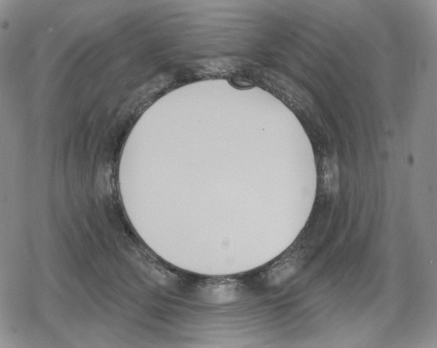 X0000079310514200612151755