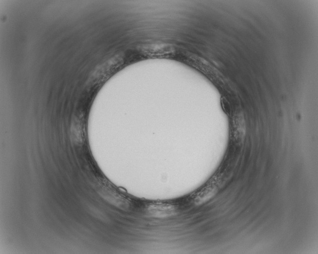 X0000079310515200612151755