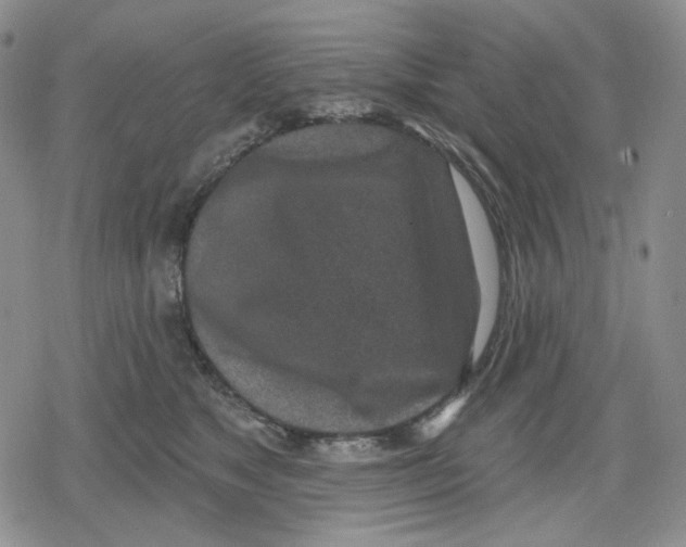 X0000079310517200612151755