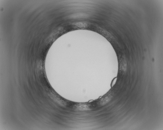 X0000079310518200612151755